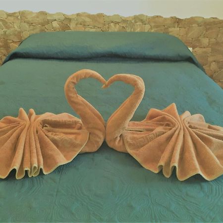 Beautiful Coastline Bungalow Near The Ocean 50 M Lejlighed Costa De Antigua Eksteriør billede