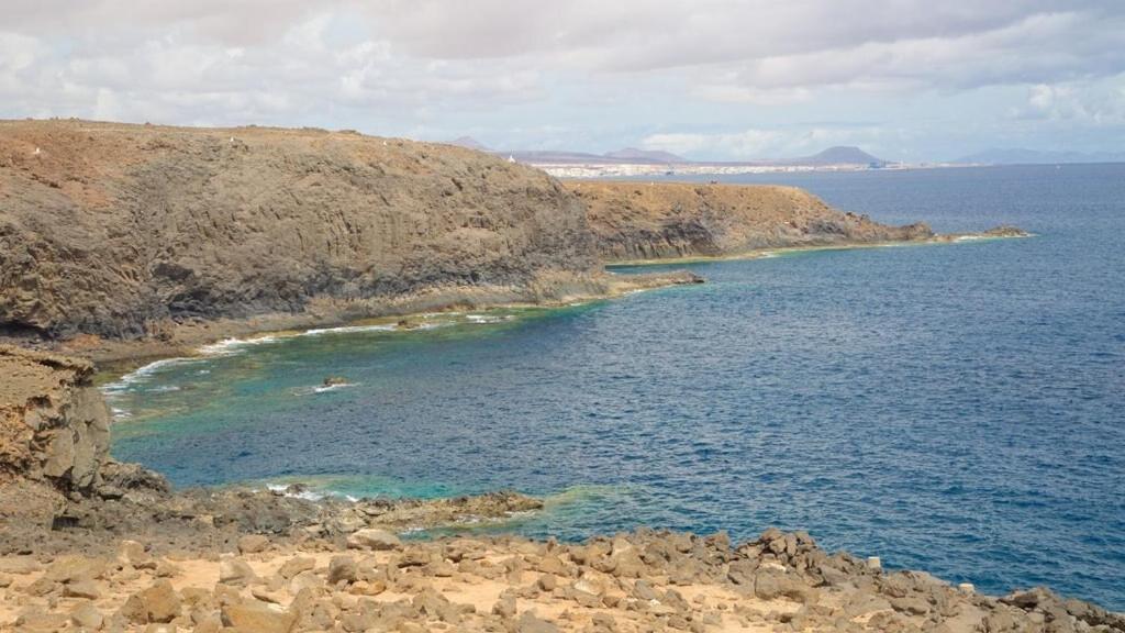 Beautiful Coastline Bungalow Near The Ocean 50 M Lejlighed Costa De Antigua Eksteriør billede